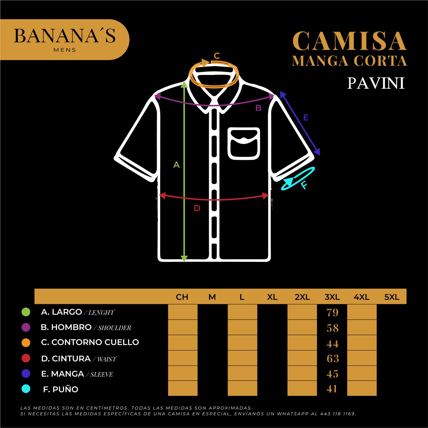 CAMISA MANGA CORTA PAVINI P3081